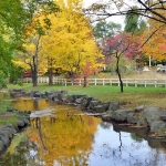 中央区中島公園