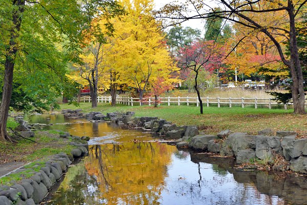 中央区中島公園