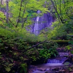 有明の滝（清田区）