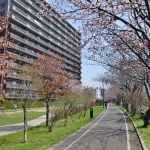 こころーど（白石区）