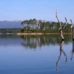 朱鞠内湖（幌加内町）