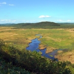 コッタロ湿原（標茶町）