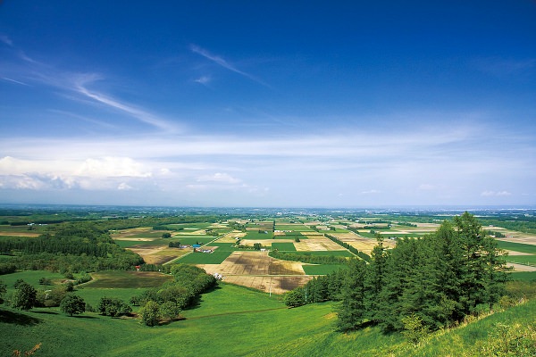 新嵐山スカイパーク展望台から見た芽室町