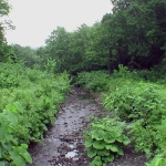琴平川（中川町）