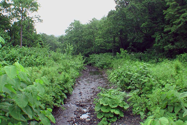 琴平川（中川町）