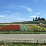 かんのファーム（上富良野町）