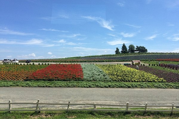 かんのファーム（上富良野町）