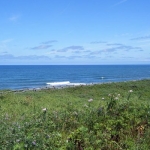 小清水原生花園