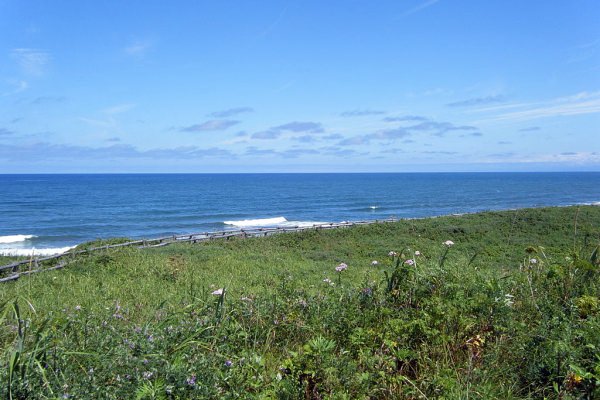 小清水原生花園