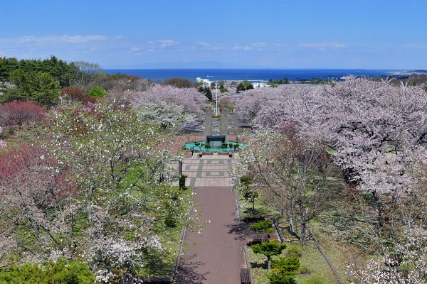 オニウシ公園（森町）