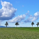 メルヘンの丘（大空町）