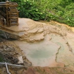 二股ラヂウム温泉石灰華（長万部町）