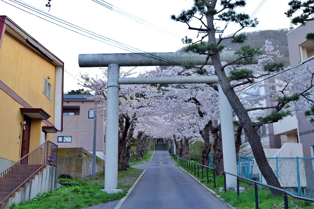 住三吉神社の神明鳥居