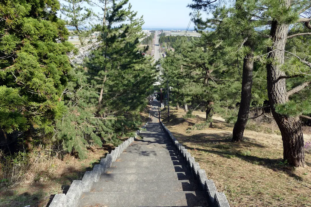 10P1150080 桜ロードを見下ろす