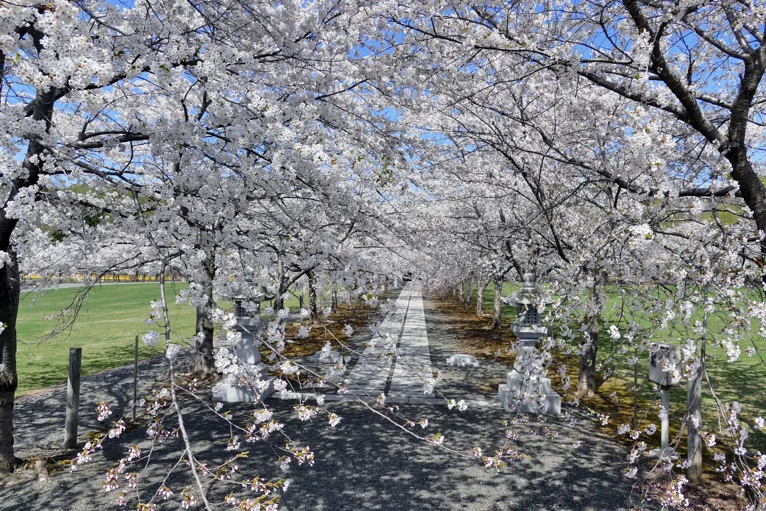 明和神社境内入り口