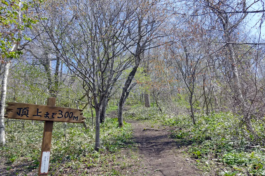 35P1160274 鷲別岬散策路3