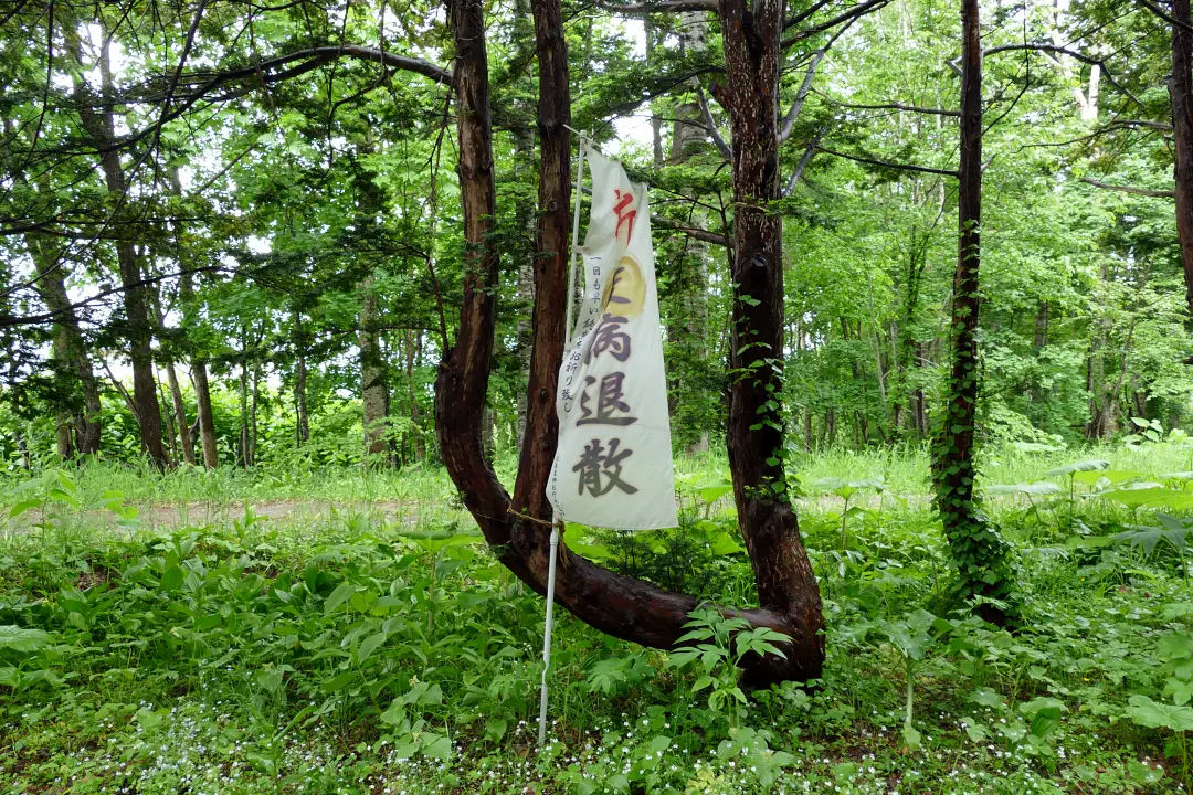 04P1180074 中川神社 疫病退散の幟