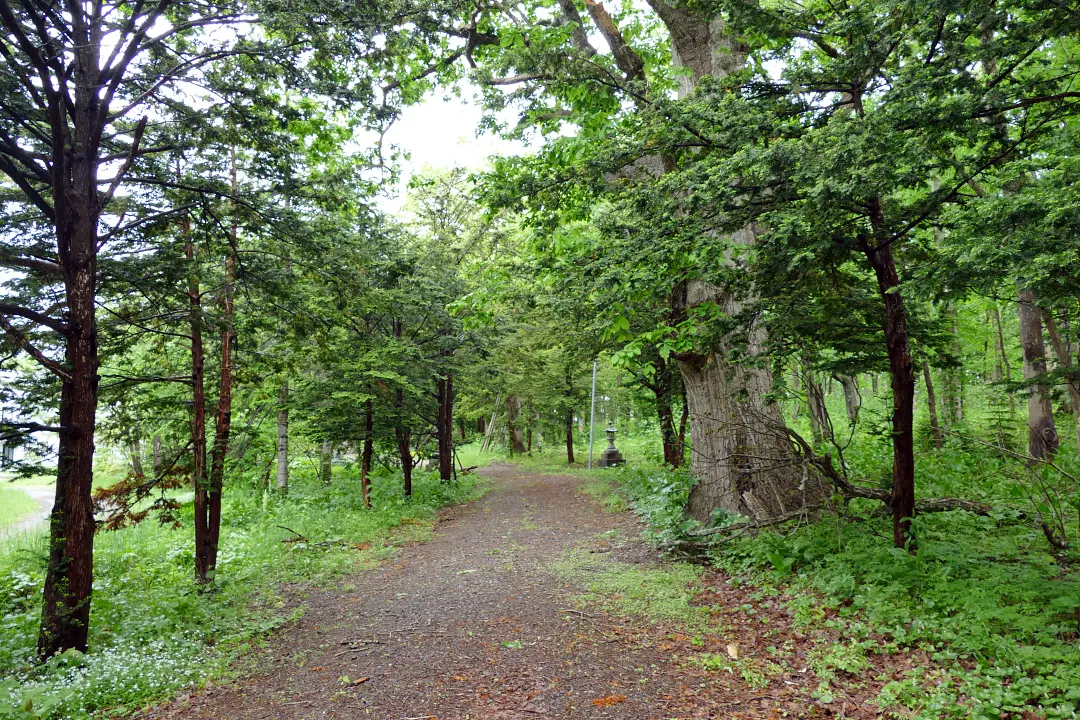 05P1180075 中川神社 参道