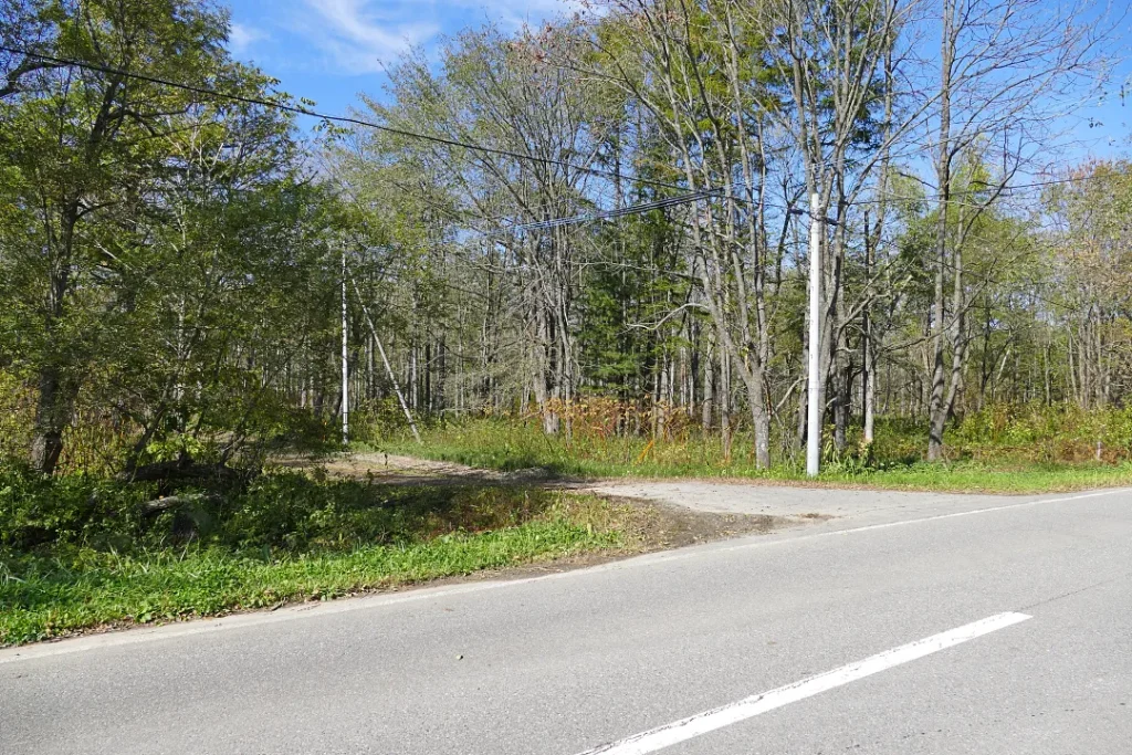 大國神社 裏参道入口
