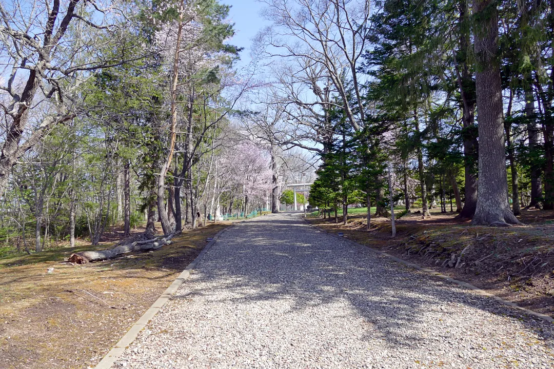 03_1220563 女満別神社 参道