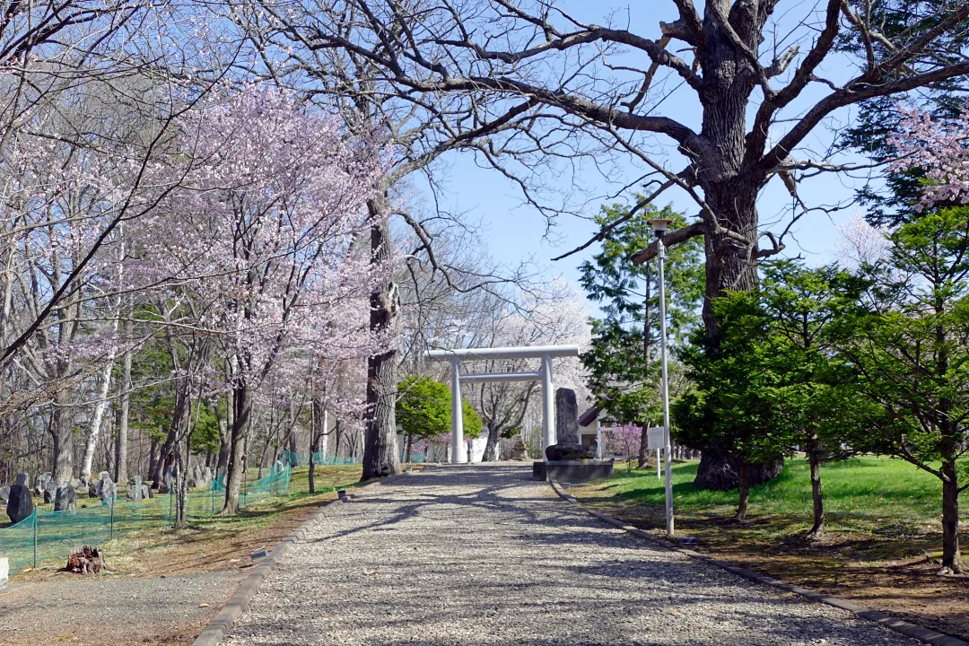 04_1220565 女満別神社 参道と二の鳥居