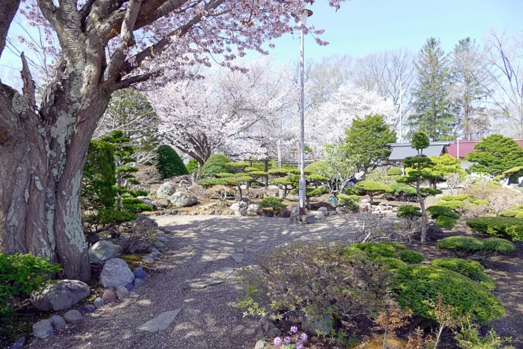 女満別神社 社務所前の庭