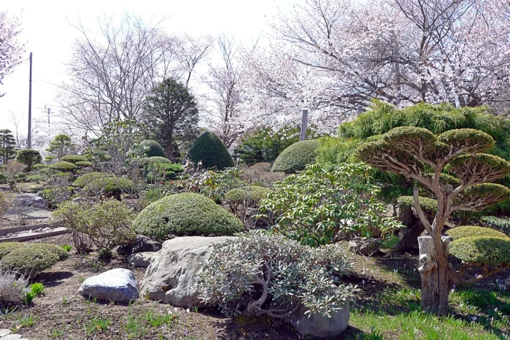 女満別神社 社務所前の庭