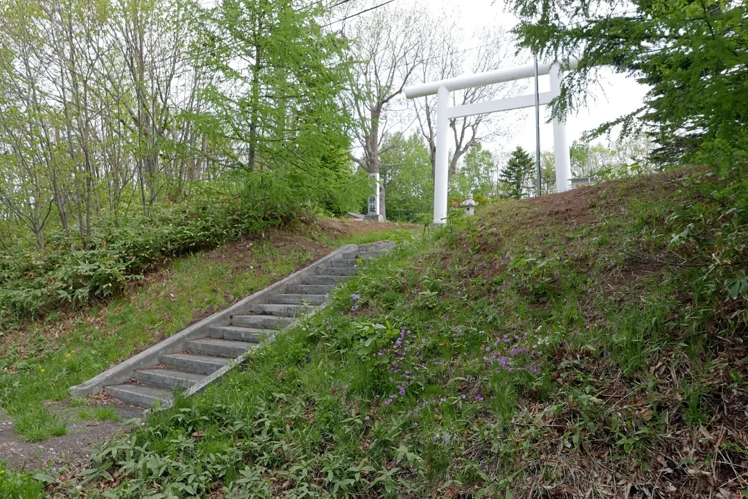 澤木神社 階段と鳥居