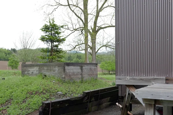 上興部神社 社殿の後ろ