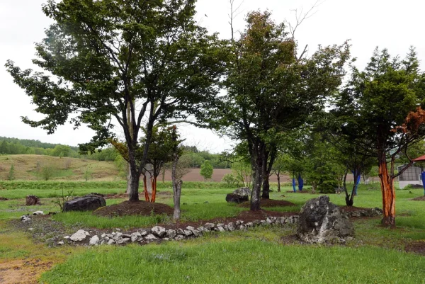 上興部神社 境内の一画