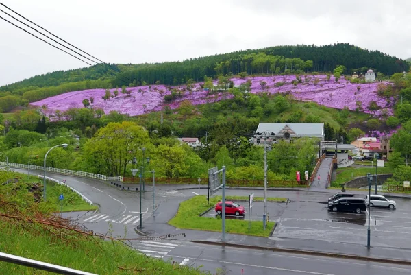 滝上神社から見る芝桜公園