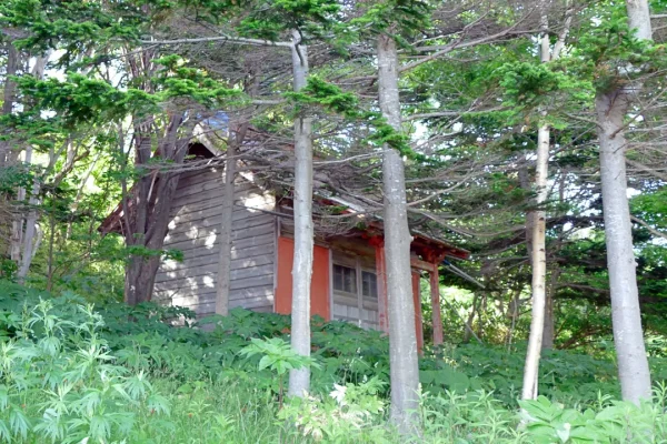 小泊稲荷神社 社殿