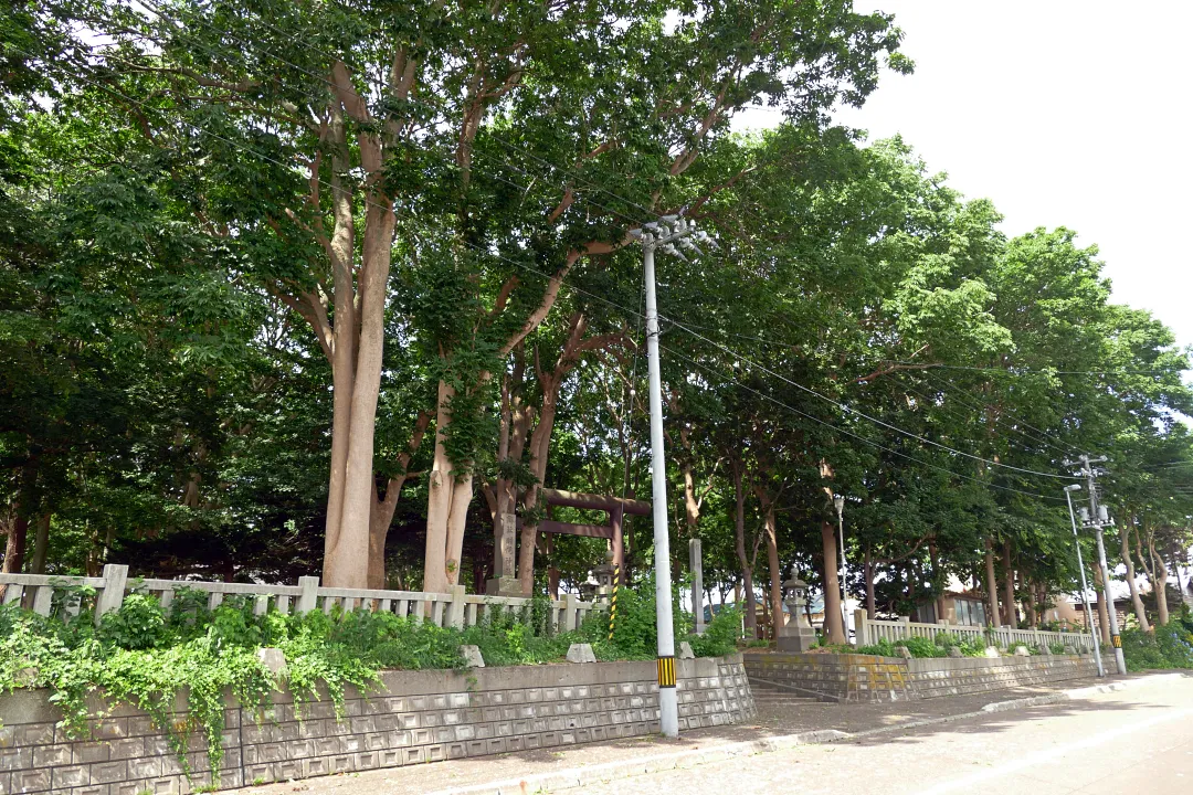 羽幌神社 境内入り口