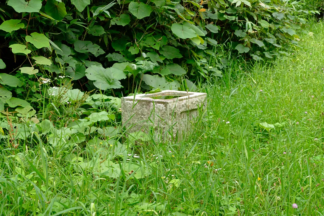 04_1250150 松音知神社 手水鉢