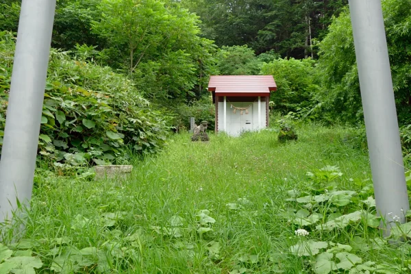 松音知神社 鳥居から見る社殿