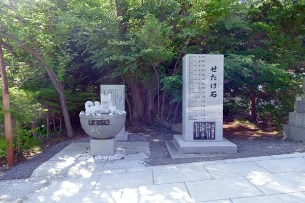 住吉神社 子宝犬とせたけ石