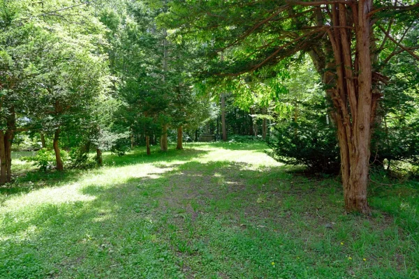 赤井川神社 境内左手のスペース