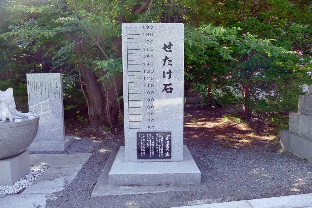 小樽住吉神社 せたけ石