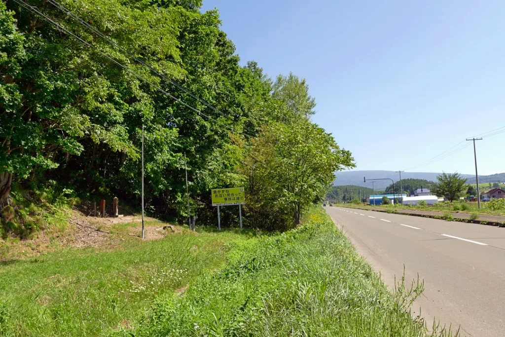 道道253号線沿いの天照皇大神と大山神