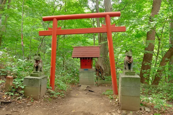 円山稲荷神社 鳥居と狛ギツネ