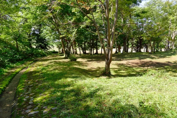 男山八幡神社 社殿側から見下ろす