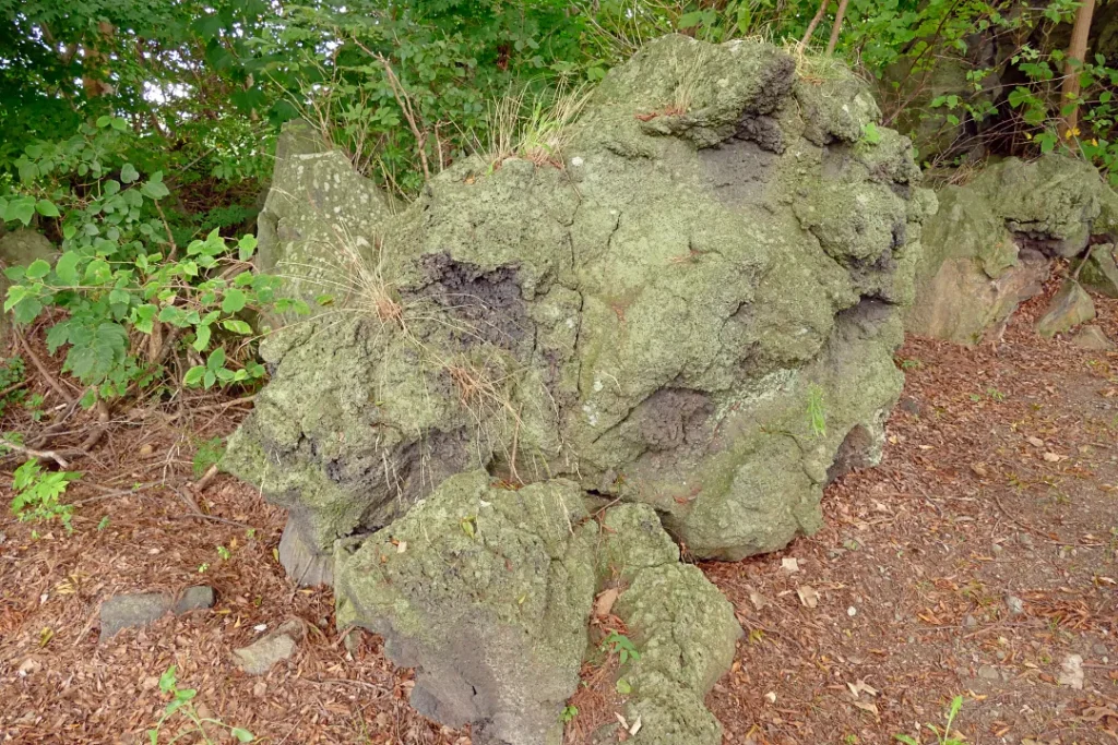 大臼山神社 自然石