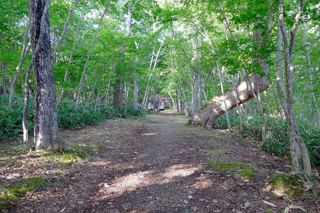 屈斜路神社 参道前半