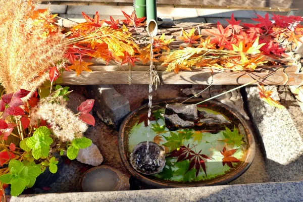 飯生神社 花手水
