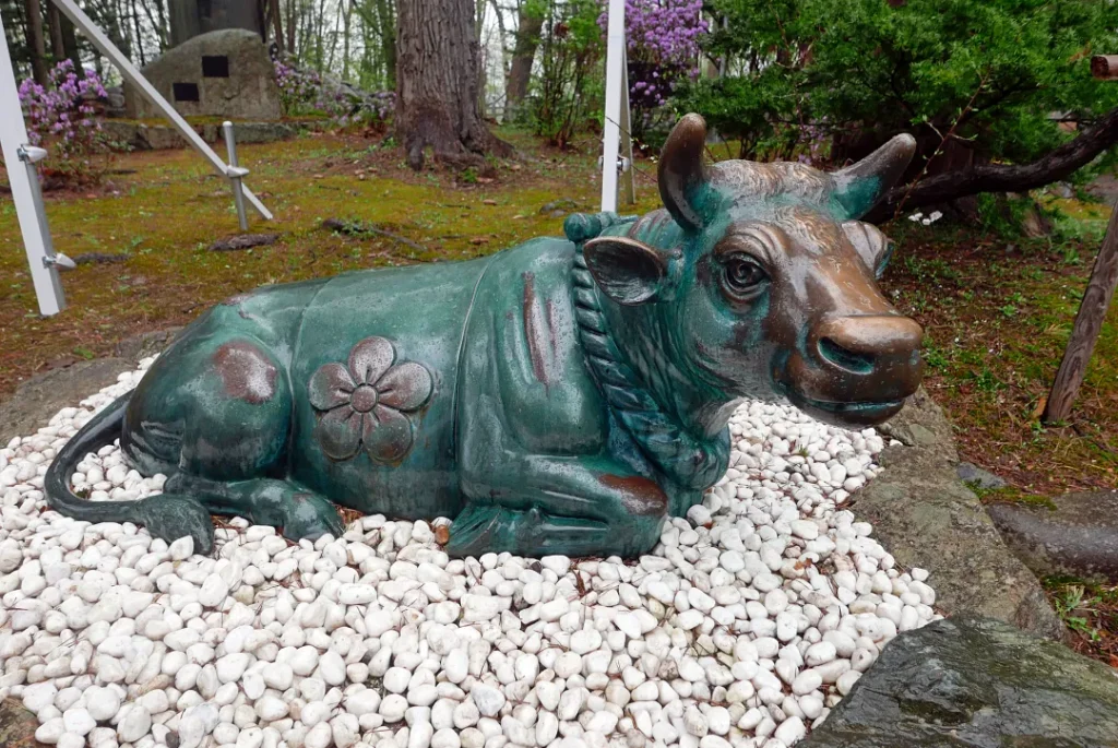 旭川天満宮 臥せ牛のアップ