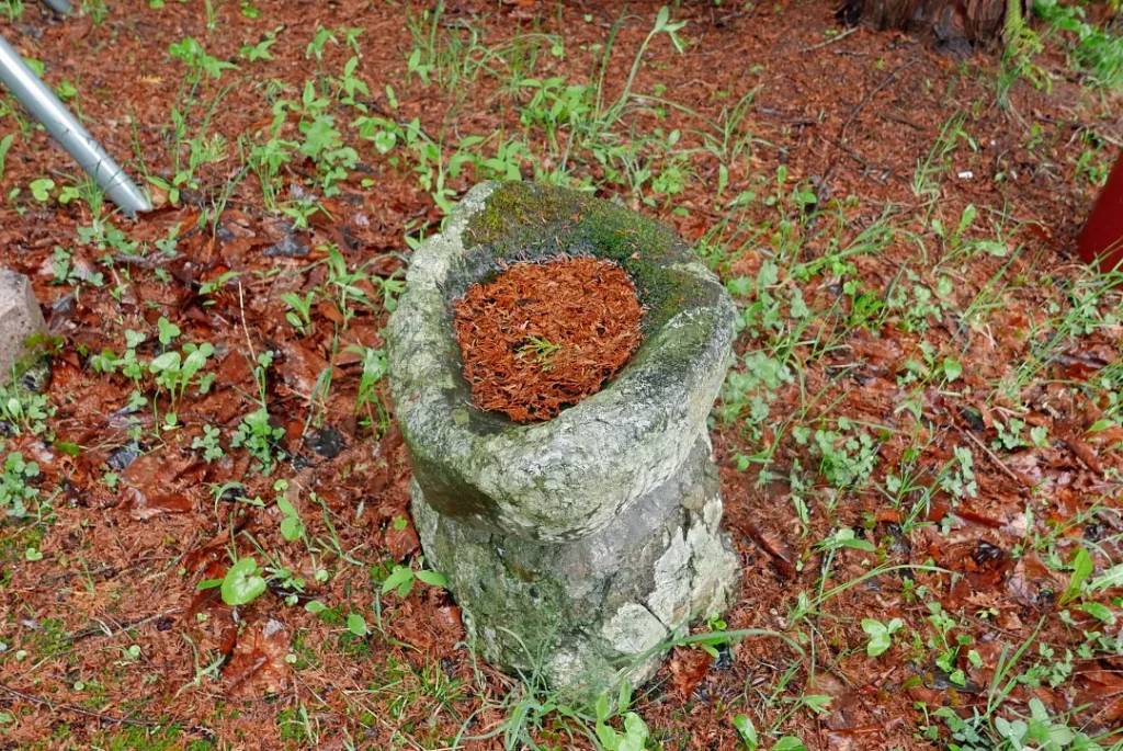 西丘神社 手水鉢