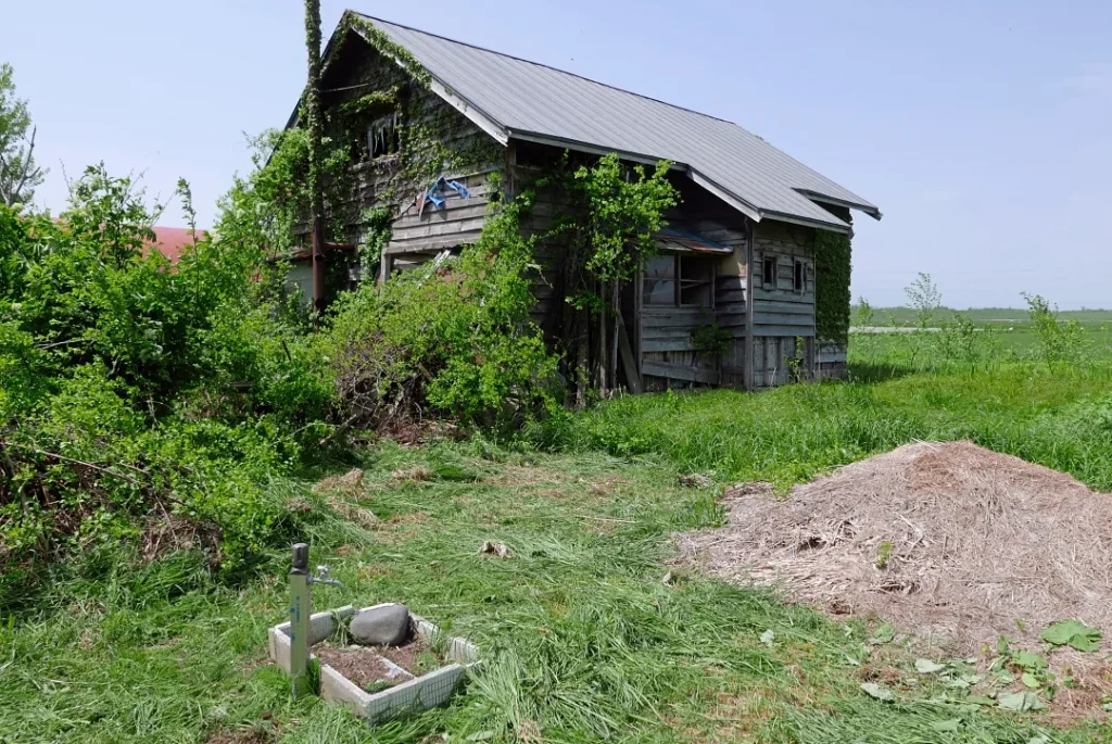 社殿左手に建つ廃屋