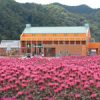 楽天トラベル:道の駅　にしおこっぺ花夢（たびノート）